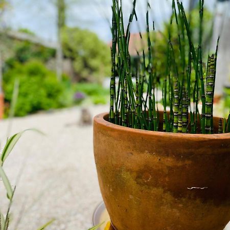 La Poterie Bed & Breakfast Carresse ภายนอก รูปภาพ