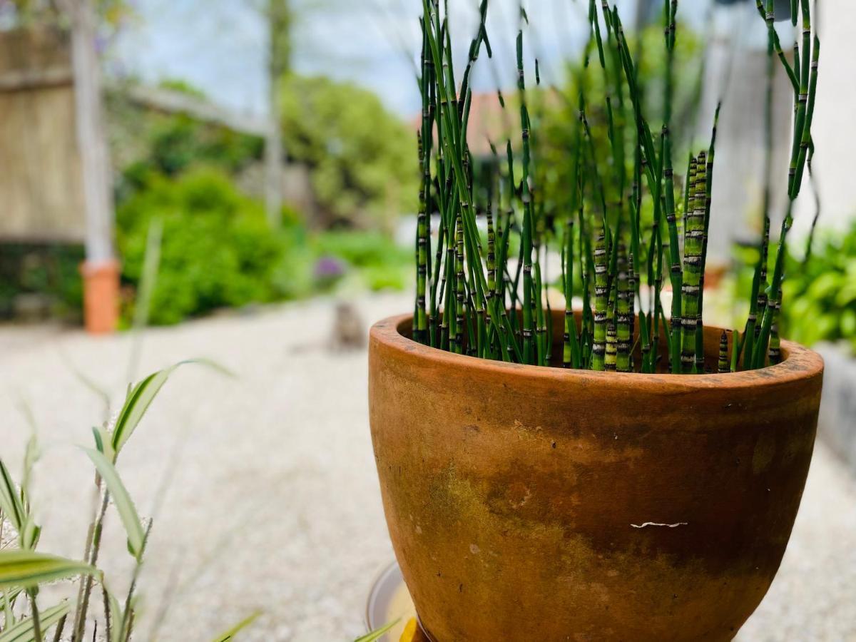 La Poterie Bed & Breakfast Carresse ภายนอก รูปภาพ